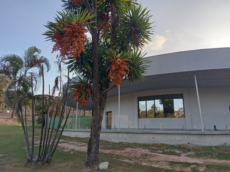 WhatsApp Image 2022-07-05 at 09.33.29